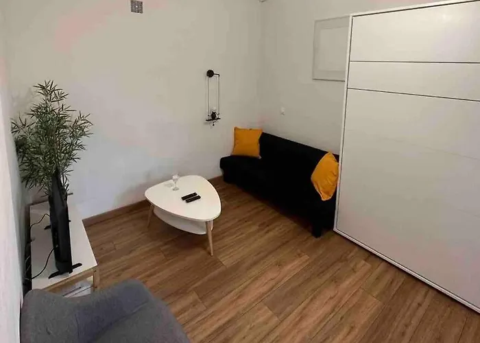 Tzarewitch Studio 10min Promenade & Gare Apartment *