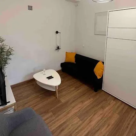 Tzarewitch Studio 10min Promenade & Gare Apartment *